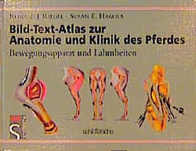Bild-Text-Atlas zur Anatomie und Klinik des Pferdes: BD 1