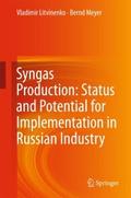 Syngas Production: Status and Potential for Implem