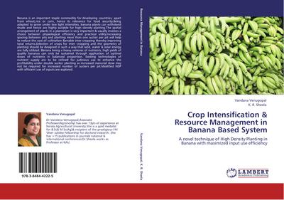 Crop Intensification &  Resource Management in Banana Based  System