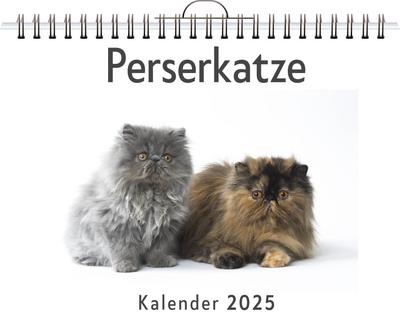 Maier, L: Perserkatze