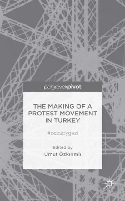 The Making of a Protest Movement in Turkey