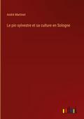 Le pin sylvestre et sa culture en Sologne