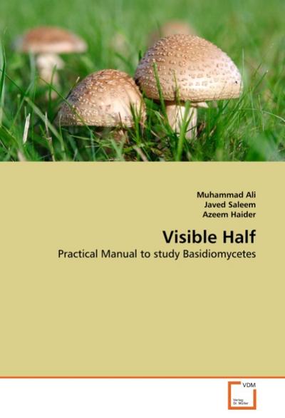 Visible Half