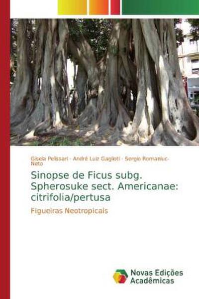 Sinopse de Ficus subg. Spherosuke sect. Americanae: citrifolia/pertusa