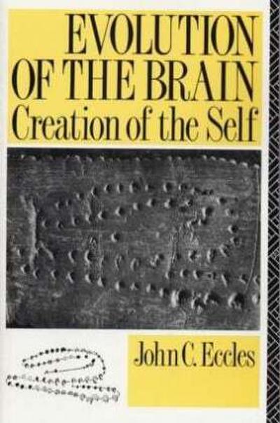 Evolution of the Brain