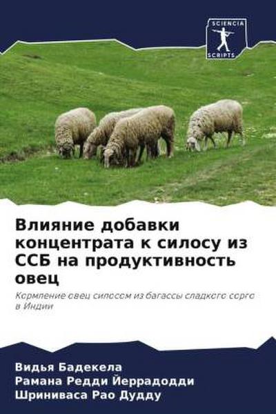 Vliqnie dobawki koncentrata k silosu iz SSB na produktiwnost’ owec