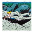 Tim & Struppi Wandkalender 2027