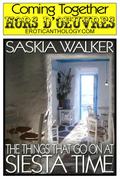 The Things That Go On At Siesta Time (Coming Together: Hors d’Oeuvres, #25)