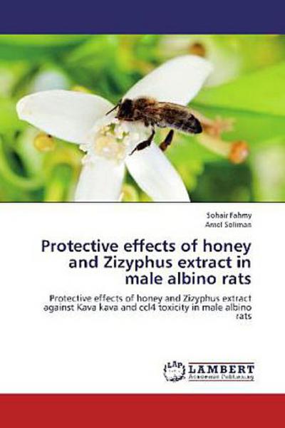 Protective effects of honey and Zizyphus extract in male albino rats