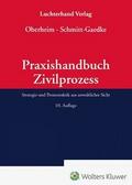 Praxishandbuch Zivilprozess