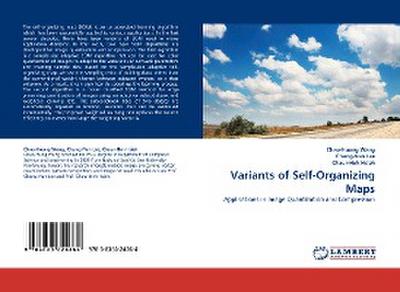 Variants of Self-Organizing Maps