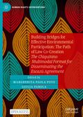 Building Bridges for Effective Environmental Participation: The Path of Law Co-Creation
