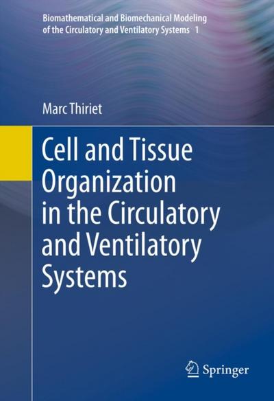 Cell and Tissue Organization in the Circulatory and Ventilatory Systems