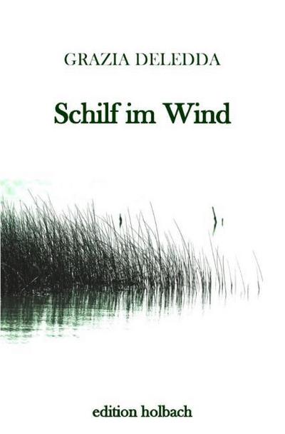 Schilf im Wind