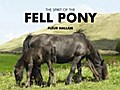 Spirit of the Fell Pony