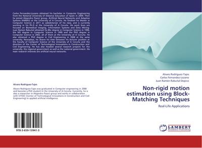 Non-rigid motion estimation using Block-Matching Techniques