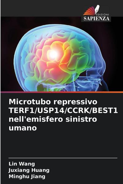 Microtubo repressivo TERF1/USP14/CCRK/BEST1 nell’emisfero sinistro umano