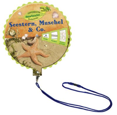 Seestern, Muschel & Co., Naturforscher-Drehscheibe