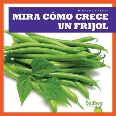 Mira Cómo Crece Un Frijol (Watch a Bean Grow)