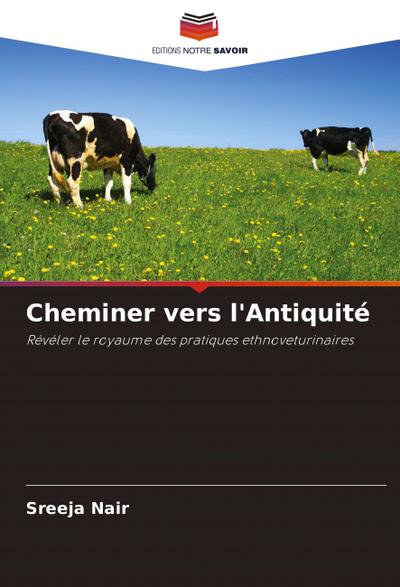 Cheminer vers l’Antiquité