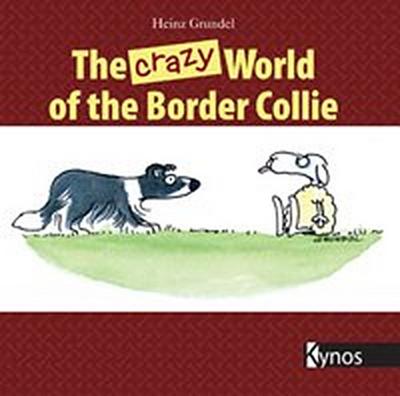 The crazy World of the Border Collie