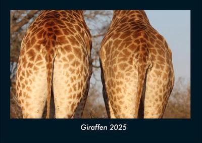 Giraffen 2025 Fotokalender DIN A4