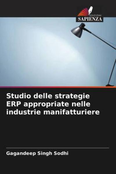 Studio delle strategie ERP appropriate nelle industrie manifatturiere