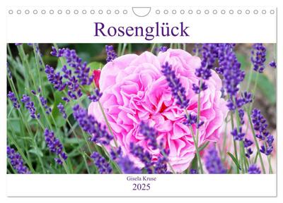 Rosenglück (Wandkalender 2025 DIN A4 quer), CALVENDO Monatskalender