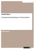 Vermögensabschöpfung im Strafverfahren