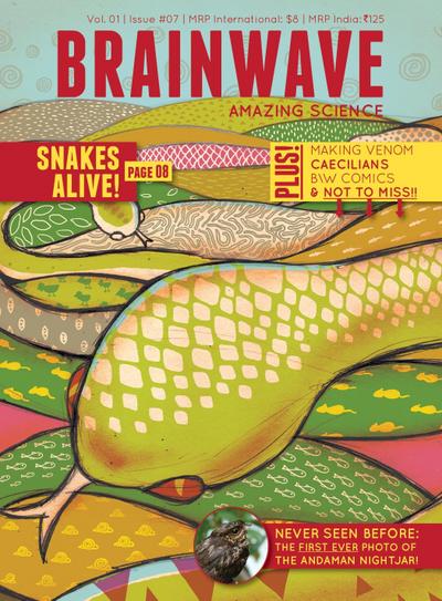 Snakes Alive #7