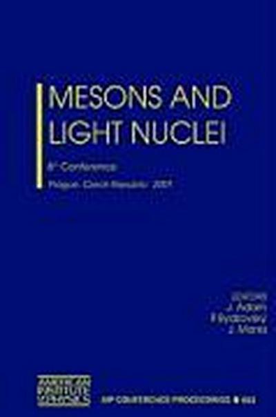 Mesons and Light Nuclei
