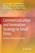 Commercialisation and Innovation Strategy in Small Firms