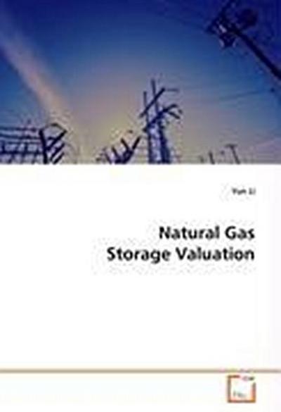 Natural Gas Storage Valuation