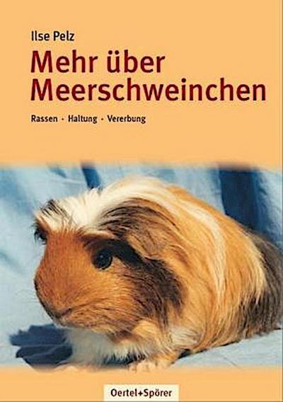 Mehr über Meerschweinchen