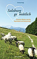 Salzburg gehmütlich