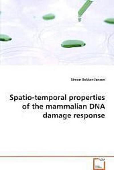 Spatio-temporal properties of the mammalian DNA damage response