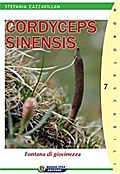 cordyceps sinensis