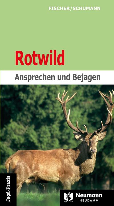 Rotwild