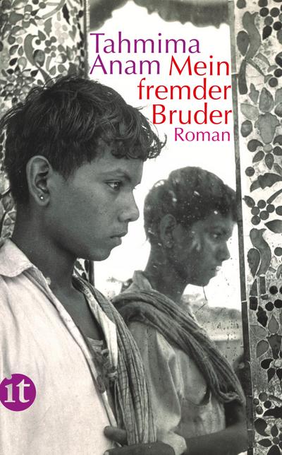Mein fremder Bruder: Roman (insel taschenbuch)