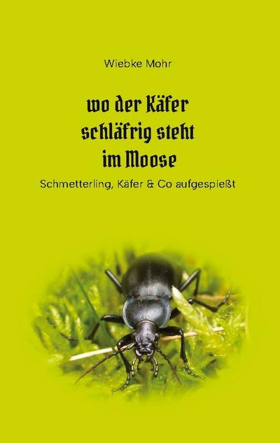 Wo der Käfer schläfrig steht im Moose