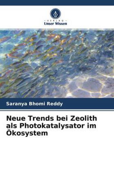 Neue Trends bei Zeolith als Photokatalysator im Ökosystem