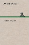 Master Skylark