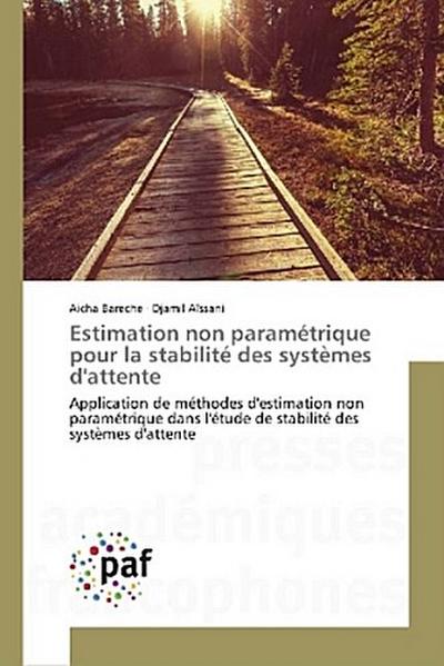 Estimation non paramétrique pour la stabilité des systèmes d’attente