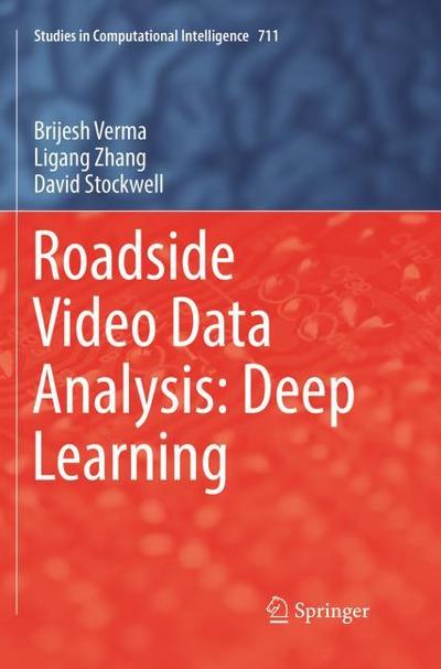 Roadside Video Data Analysis