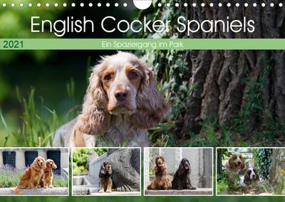 English Cocker Spaniels - Ein Spaziergang im Park (Wandkalender 2021 DIN A4 quer)