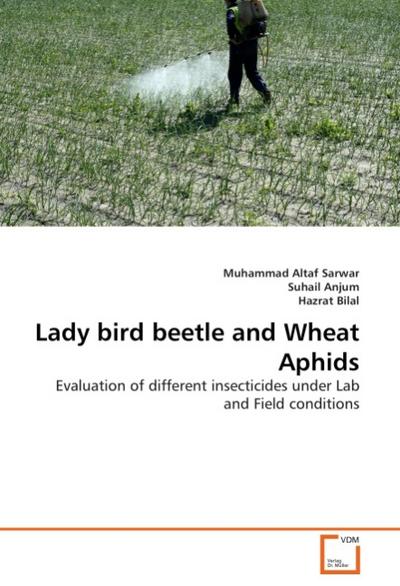 Lady bird beetle and Wheat Aphids