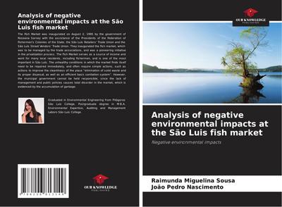 Analysis of negative environmental impacts at the São Luis fish market