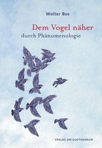 Dem Vogel näher - durch Phänomenologie