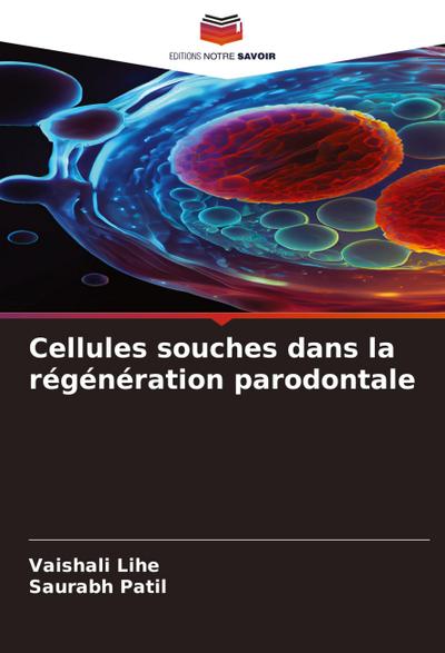 Cellules souches dans la régénération parodontale