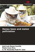 Honey bees and melon pollination